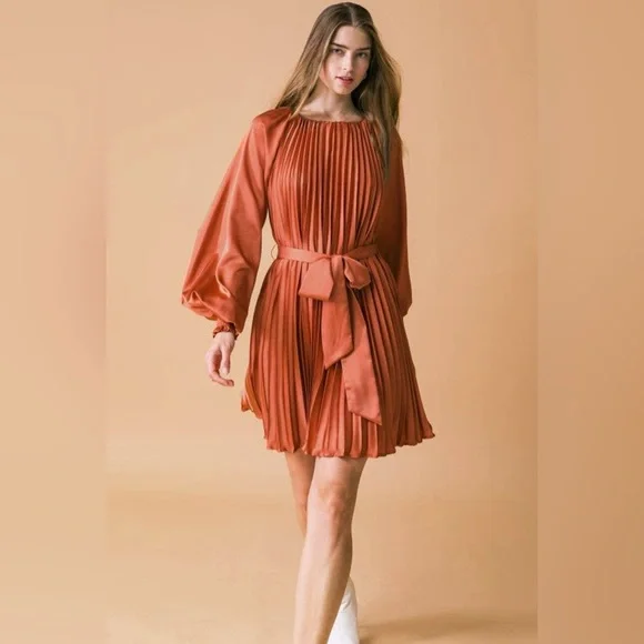 NWT Boutique Grace Pleated Long Sleeve Dress – Rust - Picture 3 of 7